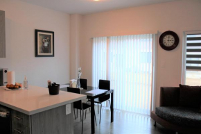 New Town House Barrie South